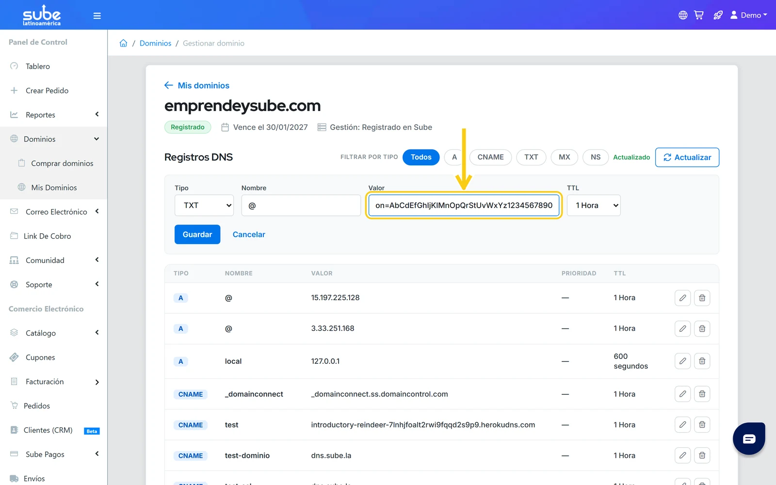 Campo Valor del formulario de registro TXT en Sube con un código de verificación google-site-verification de ejemplo
