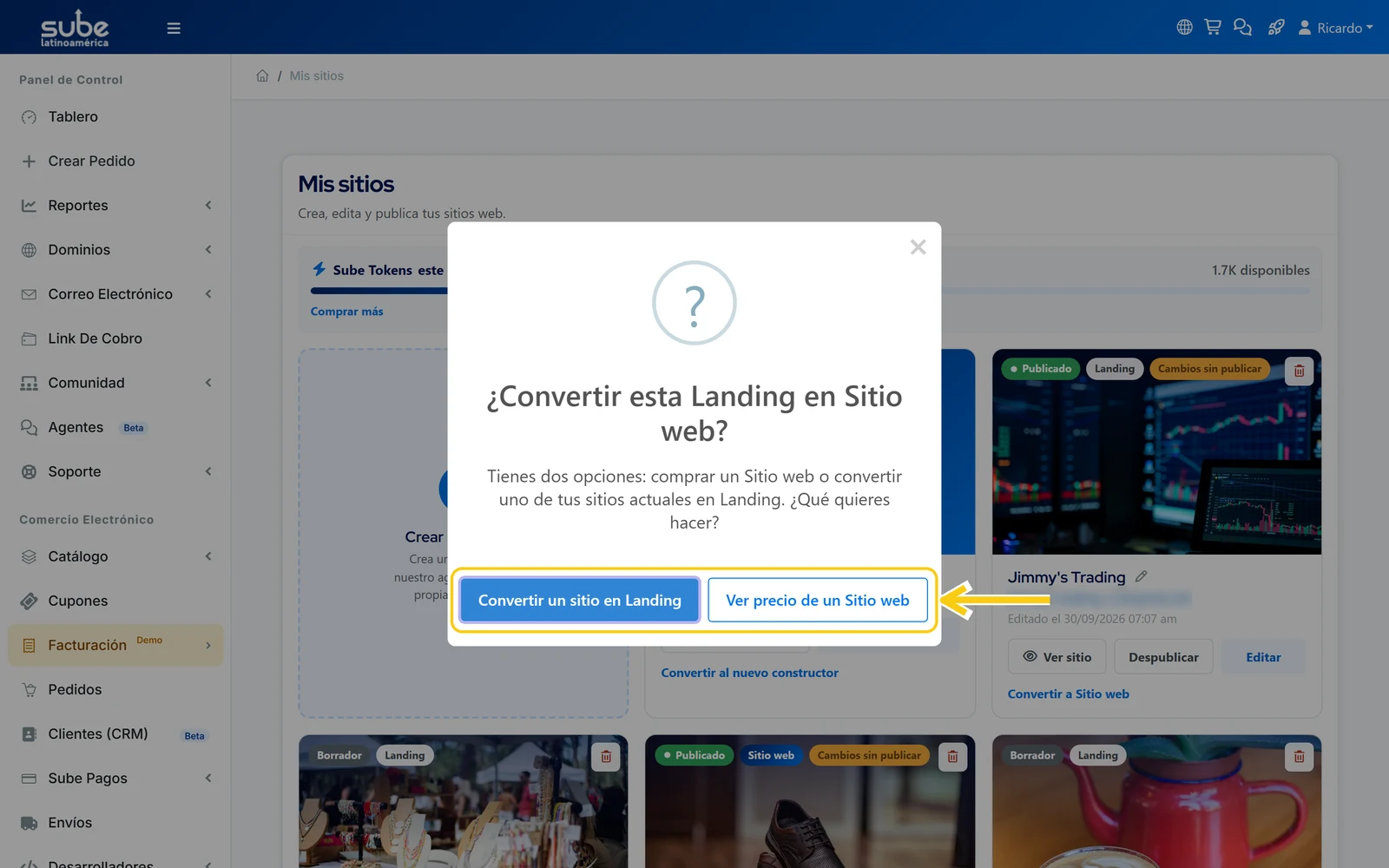 Diálogo Convertir esta Landing en Sitio web en el panel de Sube con dos opciones para habilitar la conversión