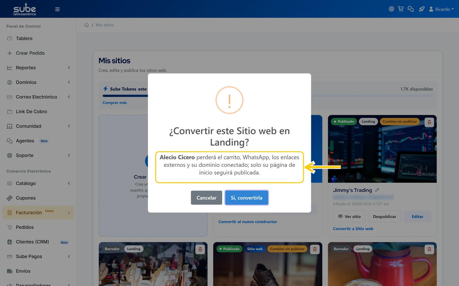 Diálogo Convertir este Sitio web en Landing en Sube con el aviso de lo que se pierde al cambiar de tipo